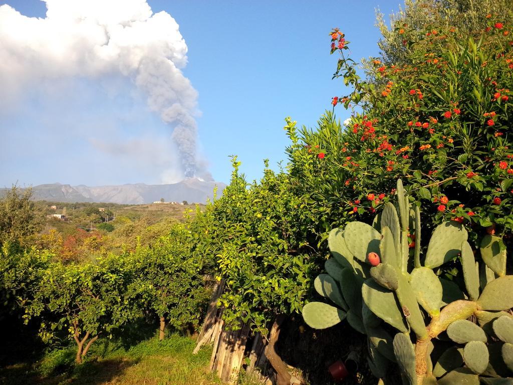 Le Case Di Bacco Santa Venerina Ruang foto