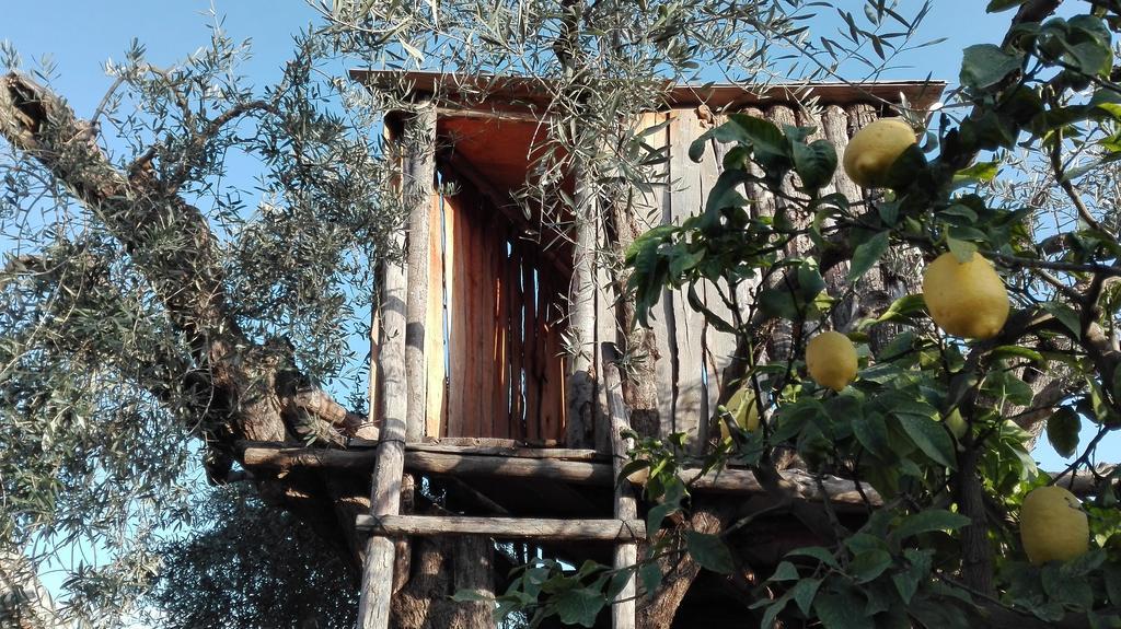 Le Case Di Bacco Santa Venerina Bagian luar foto